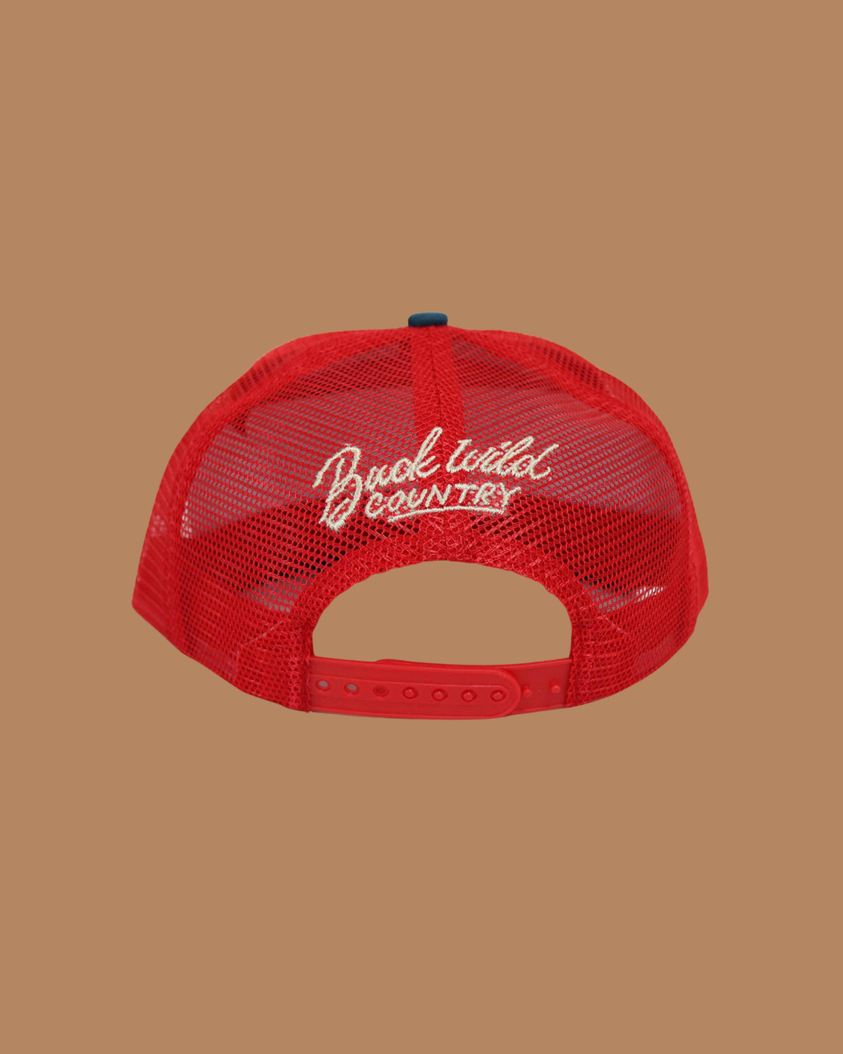 'SUPPORT DAY DRINKING' BARN SESSIONS SPECIAL EDITION CAP