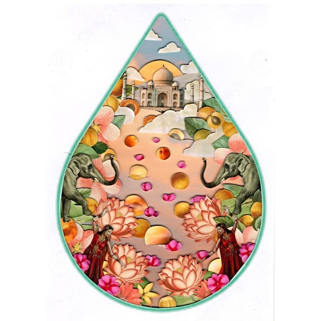 Apricot Oil, 100% Organic