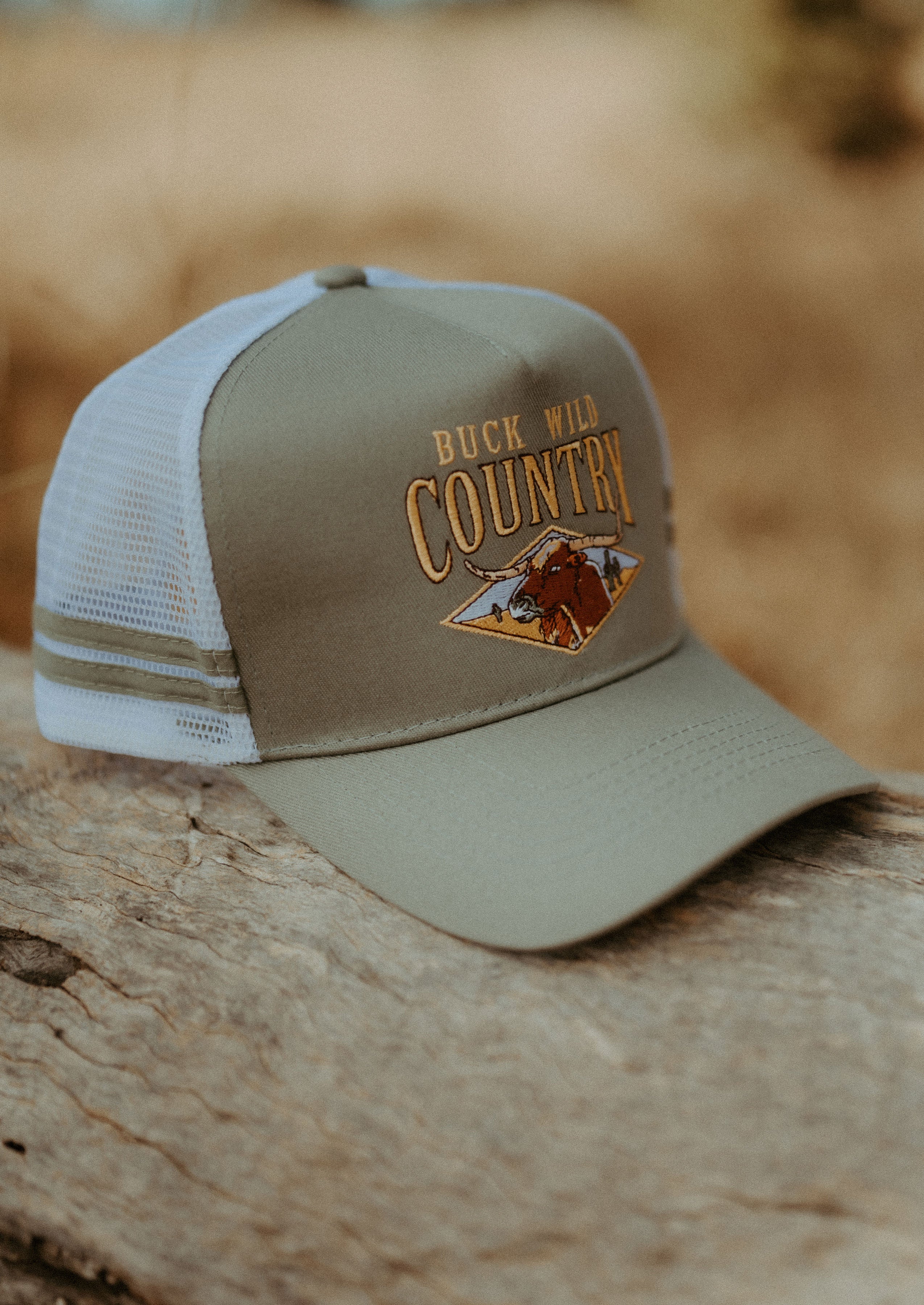LONGHORN COUNTRY CODE TRUCKER