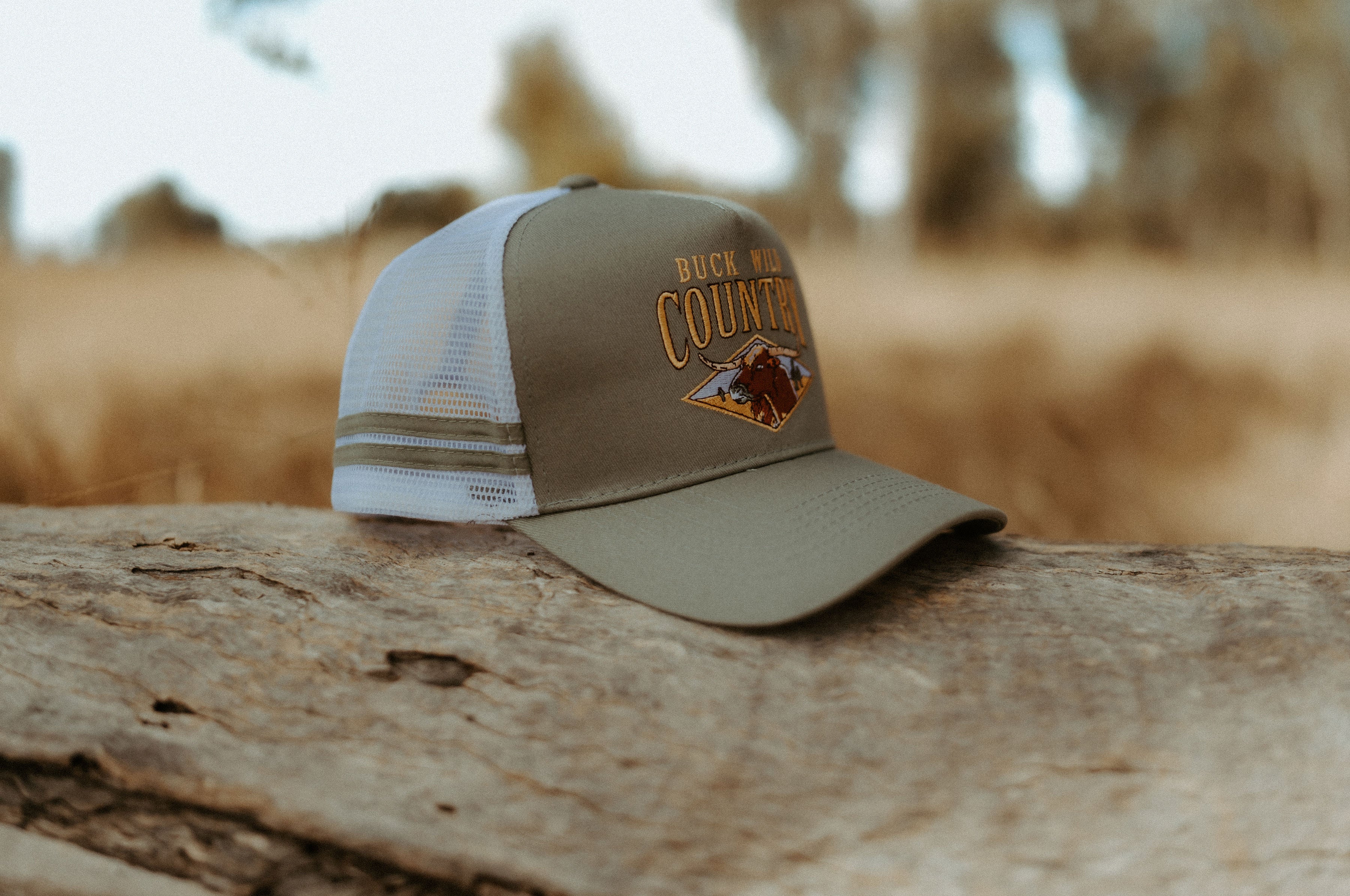 LONGHORN COUNTRY CODE TRUCKER