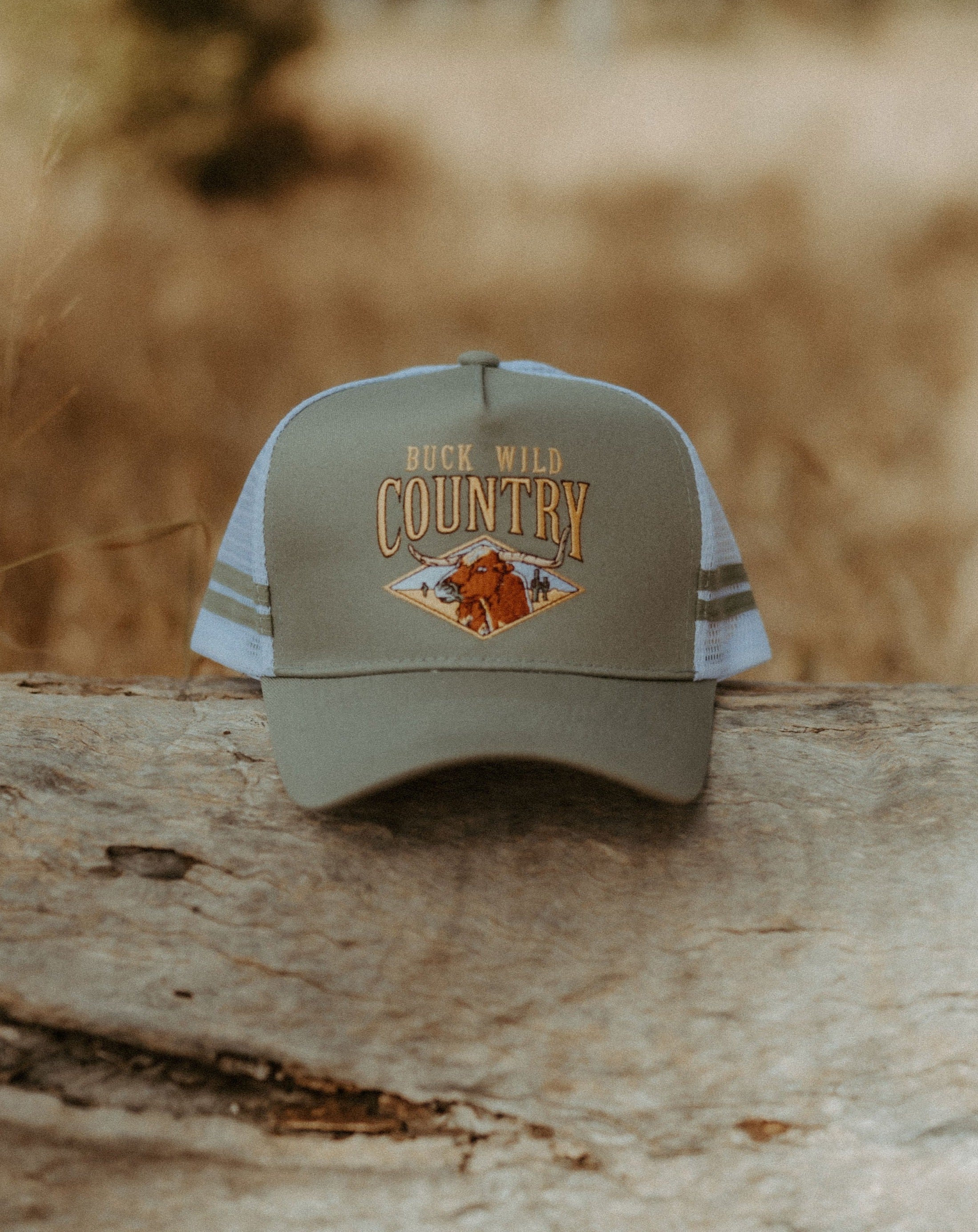 LONGHORN COUNTRY CODE TRUCKER