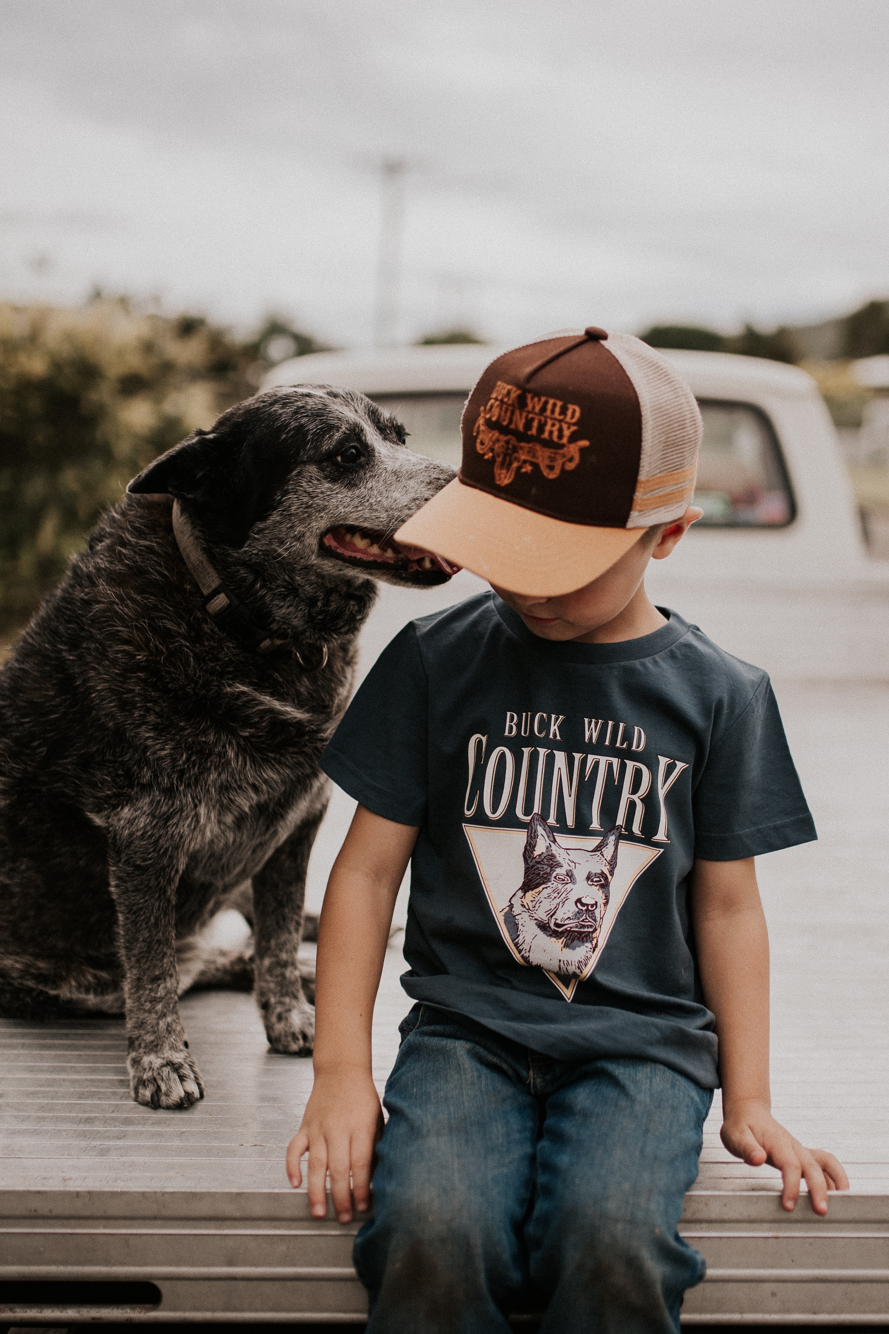 LITTLE CATTLE DOG COUNTRY T-SHIRT