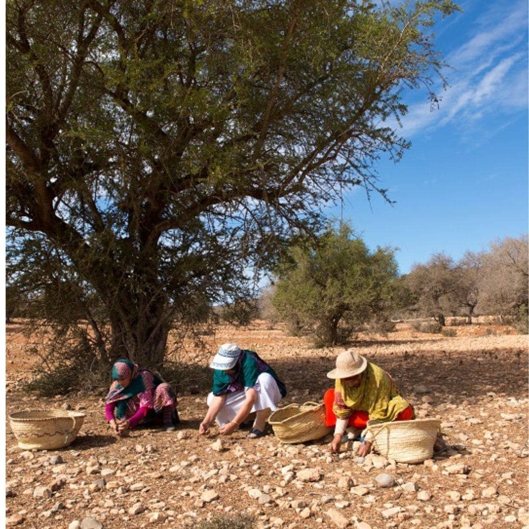 Argan Oil, 100% Organic