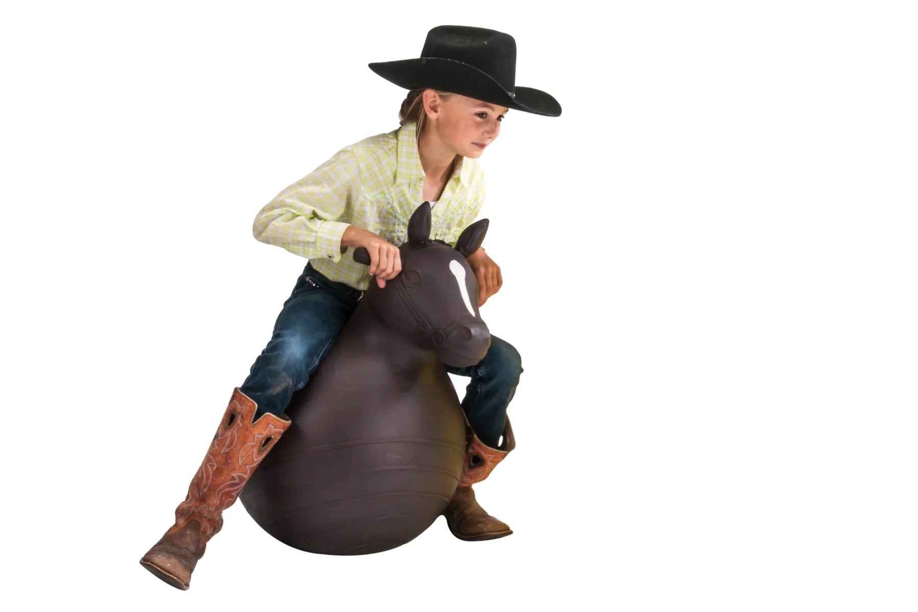 Bouncy Horse